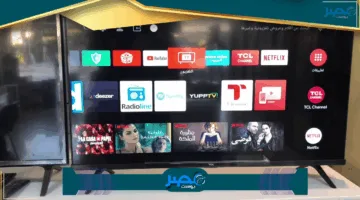 «اكتشف التردد الجديد» تردد قناة وناسة للأطفال يوفر أغاني وبرامج ممتعة بجودة عالية